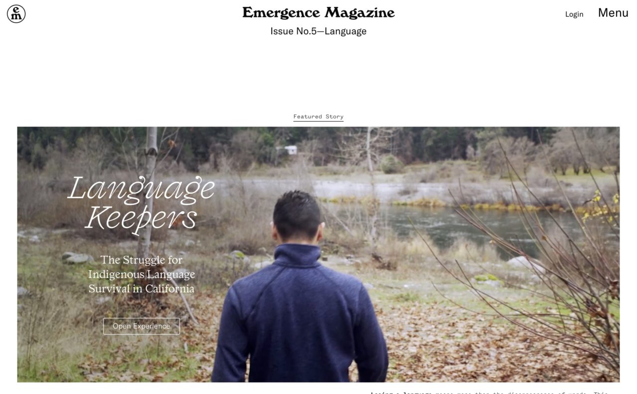 emergence blog design